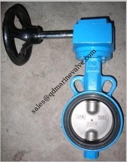 Loại máy điều khiển dây chuyền giun của van bướm bằng sắt thủy sản -JIS F7480 nhà cung cấp