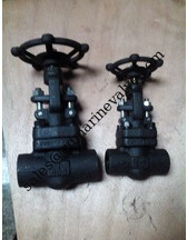 Ống phun cửa thép rèn SW kết nối cuối 800LB nhà cung cấp