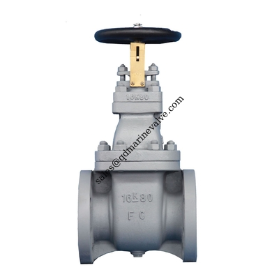Saracinesche ở Ghisa JIS 5K van cửa sắt đúc JIS 5K / 10k / 16k nhà cung cấp